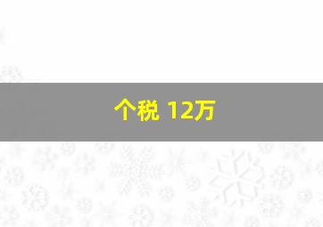 个税 12万